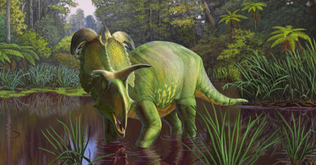 A Massive Horned Dinosaur Discovered In Montana Named After The Norse