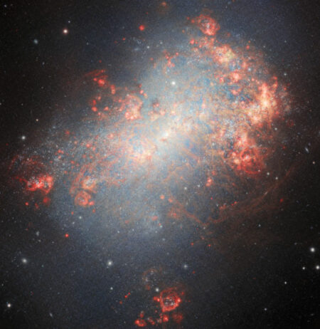 Astronomers Witness Starburst Galaxy NGC 4449 in Action Astronomers Witness Starburst Galaxy Ngc 4449 In Action