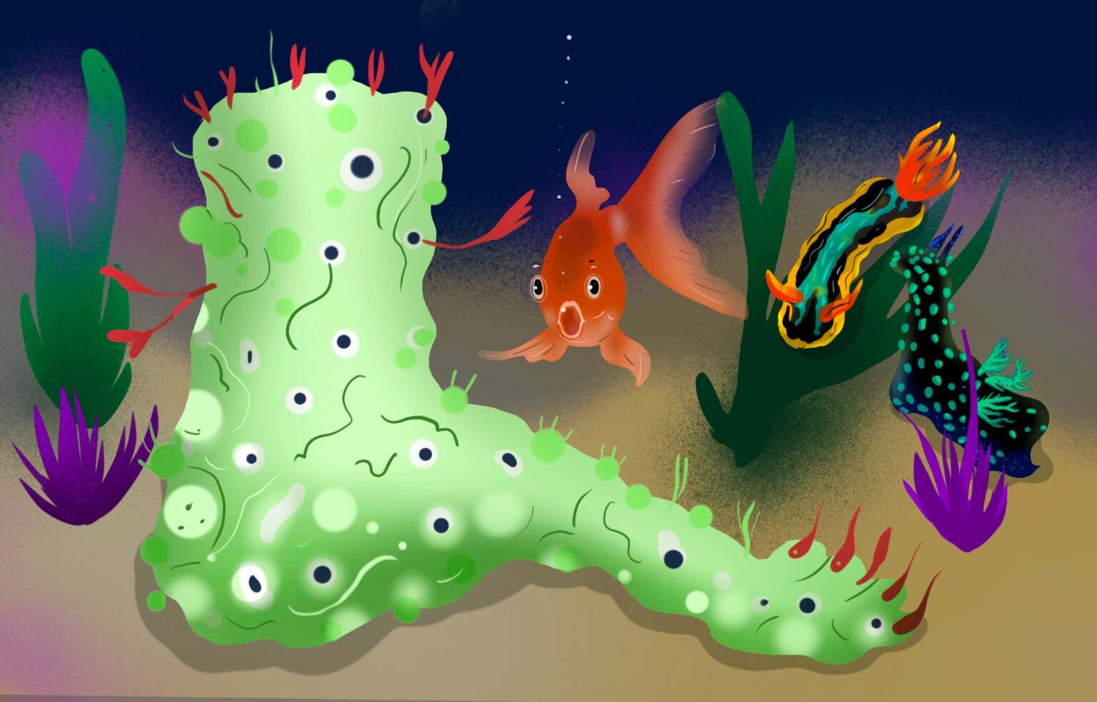 Could it be a severed leg? No, it’s actually a sea slug Could It Be A Severed Leg? No, It's Actually A