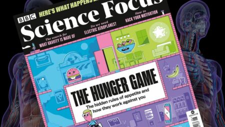 Book Release: The Hunger Games Fresh Release: The Hunger Games