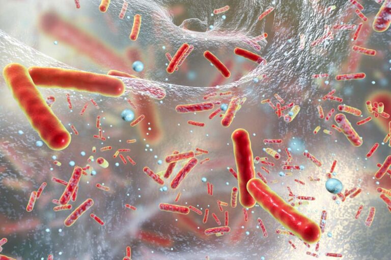 How antibiotic resistance diminished the impact of the last pandemic How Antibiotic Resistance Diminished The Impact Of The Last Pandemic