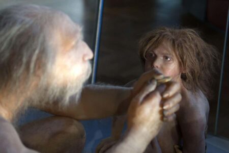 It Is Possible That Neanderthal Children Had Down Syndrome
