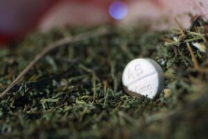 Malaria Drug Shows Promise In Treating Polycystic Ovary Syndrome