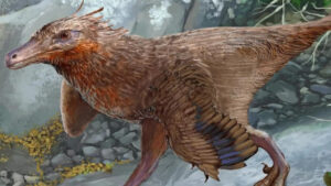 New Bird Like Dinosaur Unearthed By Paleontologists In Argentina