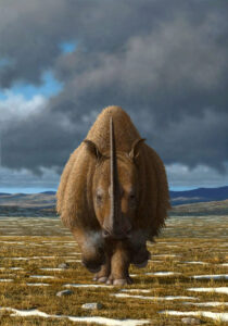 New Research Indicates That Woolly Rhinos May Have Been Driven