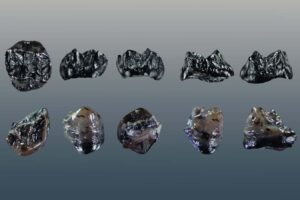 Newly Identified Species: Fossil Of Small Ape Discovered In Europe