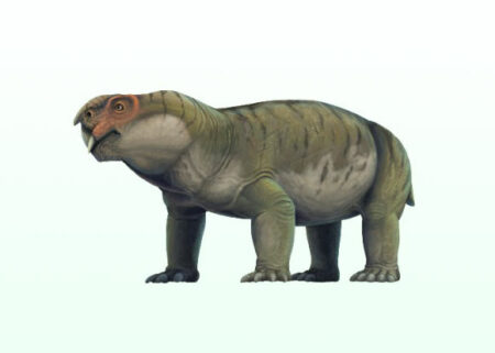 Paleontologists Uncover Secrets Of 'elgin Marvel' Fossil