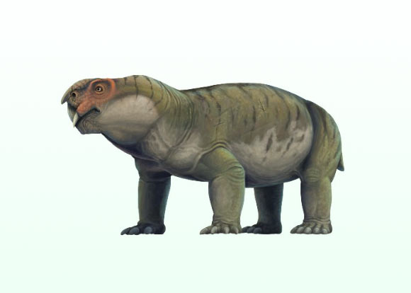 Paleontologists Uncover Secrets of ‘Elgin Marvel’ Fossil Paleontologists Uncover Secrets Of 'elgin Marvel' Fossil