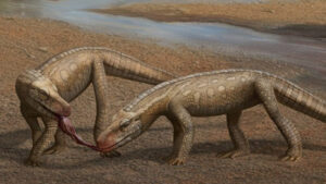 Prehistoric Crocodile Like Reptile Unearthed In Brazil's Triassic Era