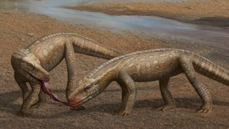 Prehistoric Crocodile Like Reptile Unearthed In Brazil's Triassic Era
