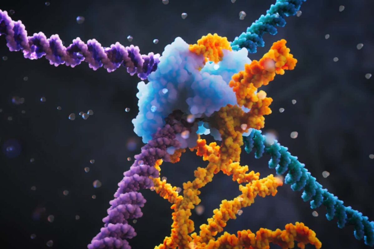 Refine Modifications Examples 'Refining Bridge Editing: A Potential Improvement Over CRISPR for DNA ...