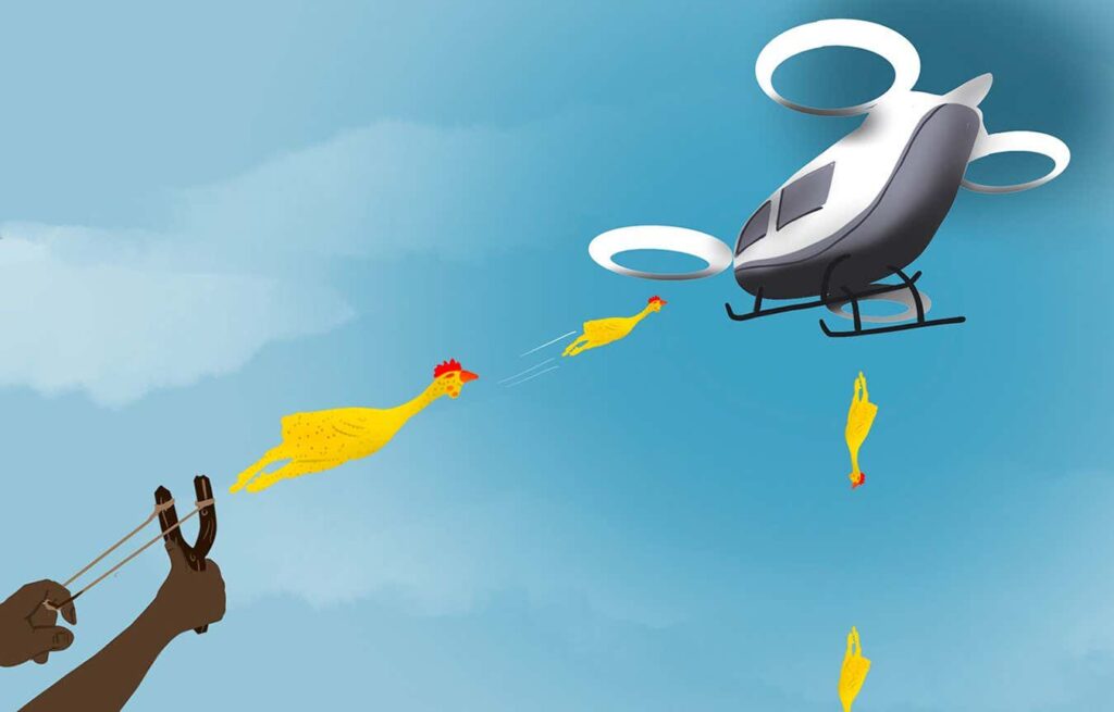 Researchers are releasing faux birds into simulated aircraft for study Researchers Are Releasing Faux Birds Into Simulated Aircraft For Study