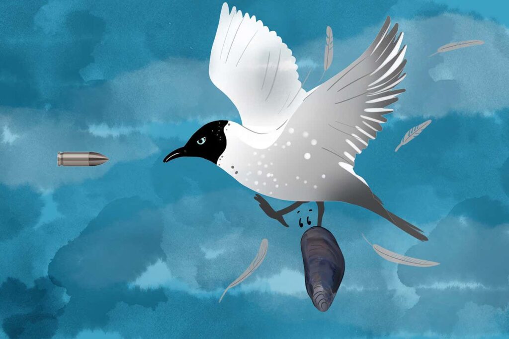 Solution Found For Mysterious Deaths Of Black Headed Gulls In Denmark