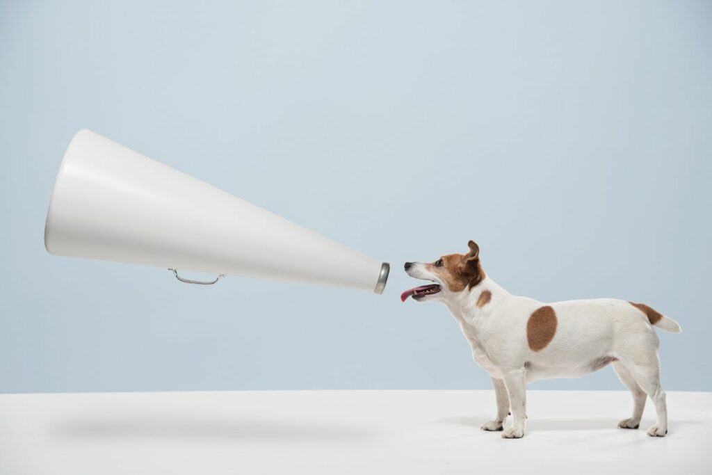 The Hidden Method Your Dog Uses to Communicate With You The Hidden Method Your Dog Uses To Communicate With You