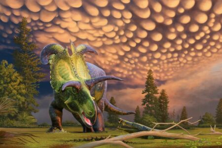 Unusual Discovery: Dinosaur With Four Horns Unearthed