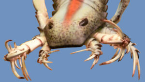 400 Million Years Ago, A Giant Scorpion Might Have Been