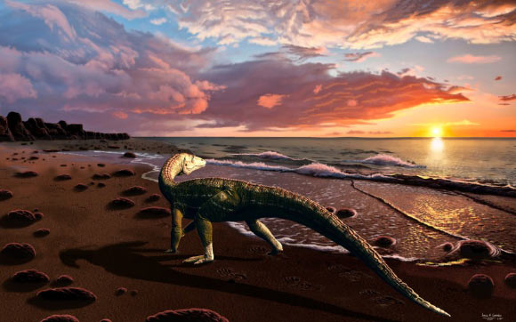 A dinosaur from the Pseudopterygota group that inhabited the Panthalassa Ocean’s coast A Dinosaur From The Pseudopterygota Group That Inhabited The Panthalassa
