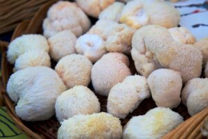 A Doctor Explains If This Fluffy Mushroom Truly Deserves The