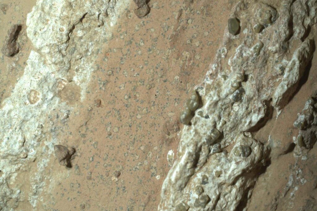 Ancient life signs found in rocks by Mars rover Ancient Life Signs Found In Rocks By Mars Rover