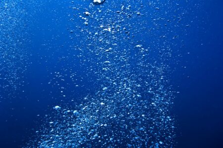 Hidden Dark Oxygen on the Ocean Floor Could Revolutionize Evolutionary Rules Hidden Dark Oxygen On The Ocean Floor Could Revolutionize Evolutionary