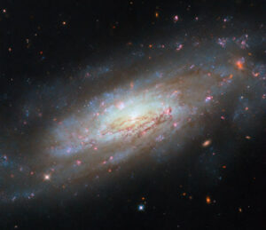 Hubble's Stunning Photo Of Ngc 4951