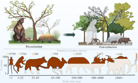 Humans definitively responsible for extinction of large animals, study finds Humans Definitively Responsible For Extinction Of Large Animals, Study Finds