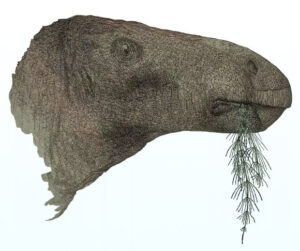 Iguanodont Dinosaur Unearthed On The Isle Of Wight