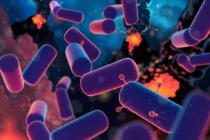 New Understanding Suggests Luca, The Last Common Ancestor Of All