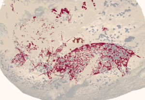 Oldest Evidence Of Storytelling In Art Found In 51,200 Year Old Indonesian