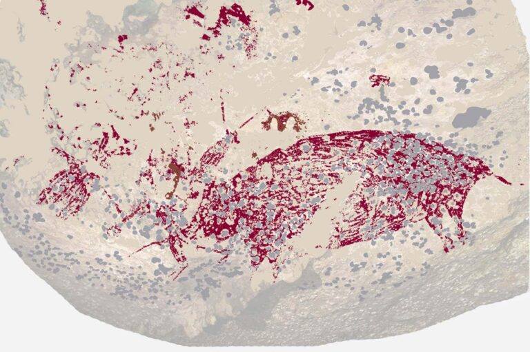 Oldest known narrative art is a pig painting dating back 50,000 years Oldest Known Narrative Art Is A Pig Painting Dating Back