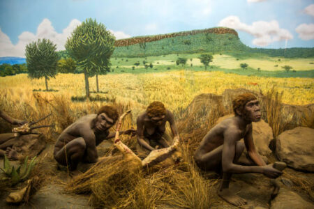 Southern Europe Saw The Arrival Of Early Humans Approximately 1.3