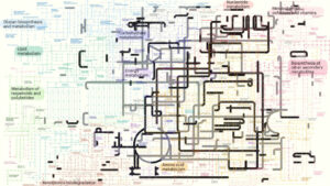 Study Reveals Last Common Ancestor Lived 4.2 Billion Years Ago