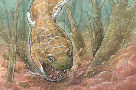 The Gaiasia Geniae: Namibia's Prehistoric Giant Salamander Predator From 280