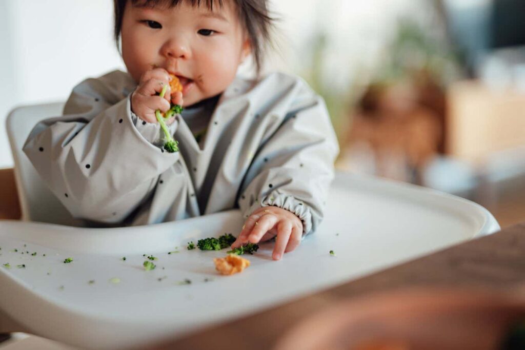 There Is Minimal Nutritional Variance Between Baby Led Weaning And Spoon Feeding