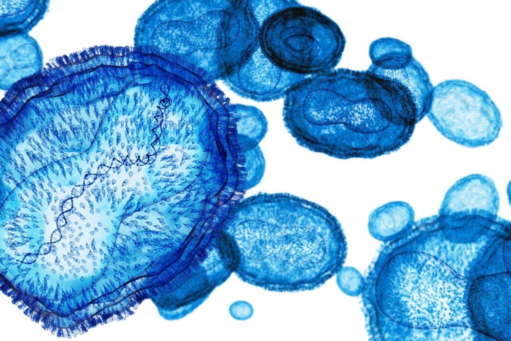 2024 Mpox Outbreak: A Comprehensive Guide