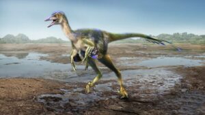 A Recently Discovered Troodontid Dinosaur Species Found In Japan