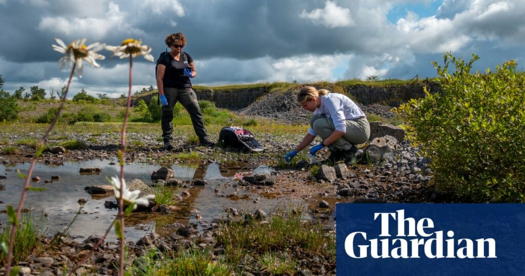 "biopiracy Battle: The High Stakes Race For Nature's Genetic Wealth" |