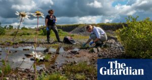 "biopiracy Battle: The High Stakes Race For Nature's Genetic Wealth" |