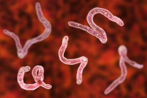 Covid 19 Vaccines May Be Less Effective Due To Intestinal Parasites