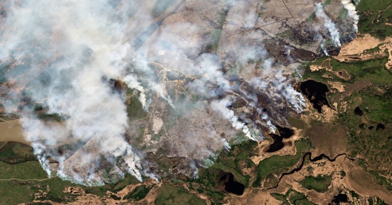 Canadian wildfires released more carbon emissions in the past year than many countries Canadian Wildfires Released More Carbon Emissions In The Past Year