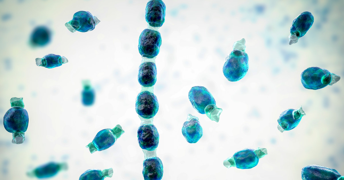 Fungal threat highlighted by Valley fever outbreak at California music festival 1 Fungal Threat Highlighted By Valley Fever Outbreak At California Music