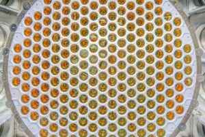 Huge Search Yields Zero Results, Dealing Another Blow To Dark