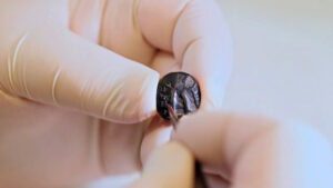 Israel Unearths Ancient Stone Seal Dating Back 2,700 Years