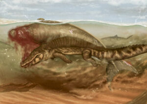 Paleontologists Say That Crocodiles And Tiger Sharks Preyed On Miocene