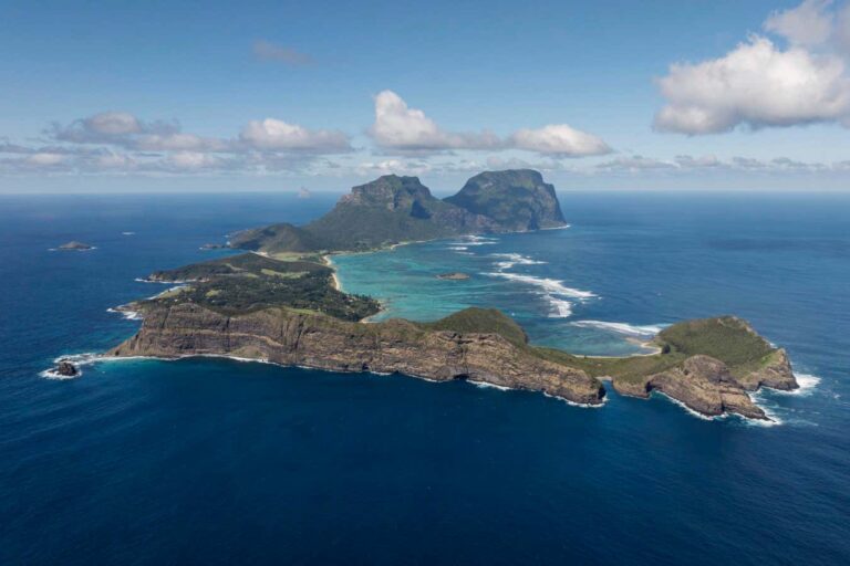 Photos Show Plastic Threatening Bird Populations On Paradise Island