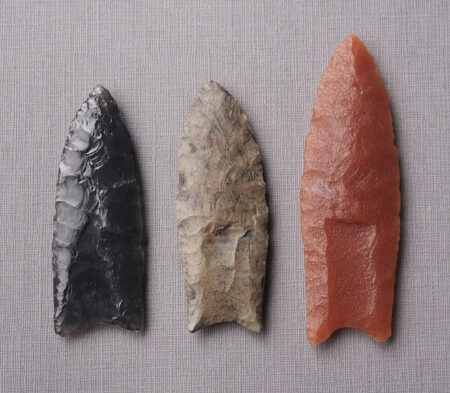 Research Shows That Clovis People Utilized Planted Pikes For Hunting