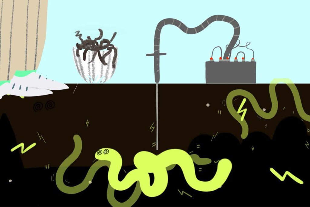 Scientists: Humans Likely Couldn't Survive Solely On Earthworms