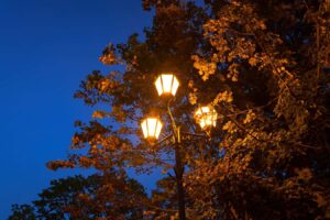 Street Lights Can Cause Tree Leaves To Become More Durable,