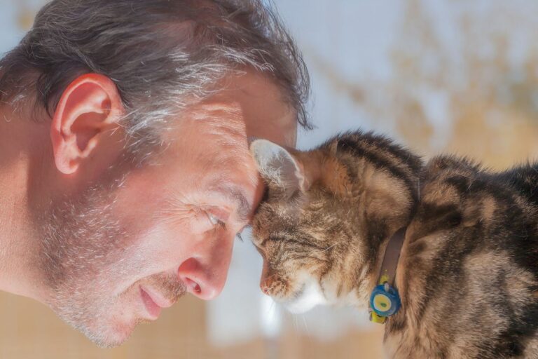 The Cognitive Benefits of Owning Cats and Dogs: How Your Pets Can Prevent Cognitive Decline The Cognitive Benefits Of Owning Cats And Dogs: How Your