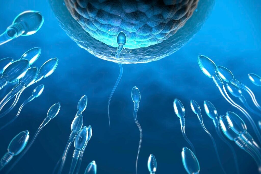 Uncovering the Truth Behind Earth’s Crisis of Declining Sperm Counts Uncovering The Truth Behind Earth's Crisis Of Declining Sperm Counts